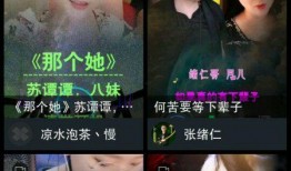 抖音材料爆料怎么做的视频,爆款视频制作背后的秘诀